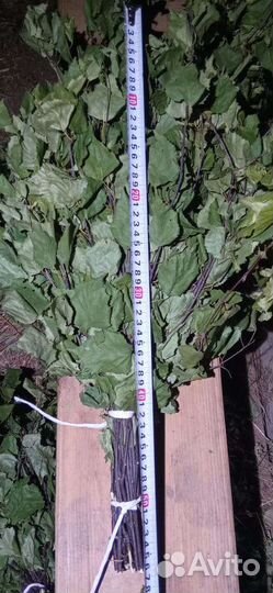 Отличные дубовые и берёзовые веники сбор 22 года