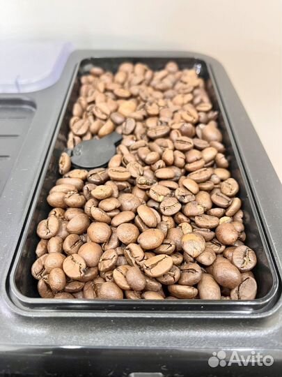 Кофе в зернах свежая обжарка