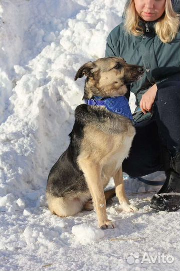 Октавия хочет домой