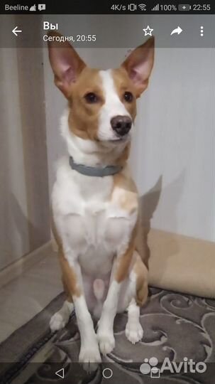 Вязка кабеля