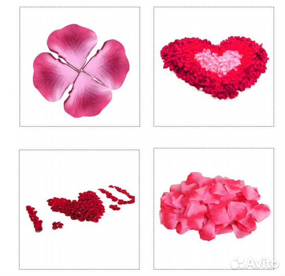 Лепестки роз