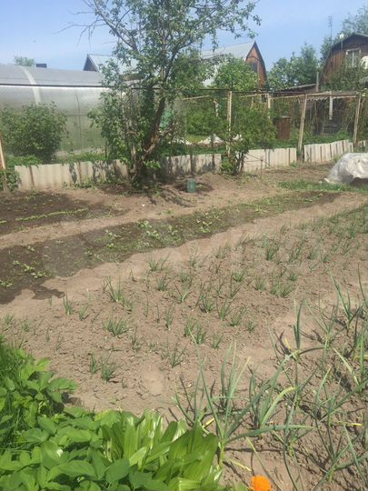 Участок 4,1 сот. (СНТ, ДНП)