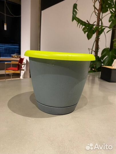 Горшки и кашпо для цветов