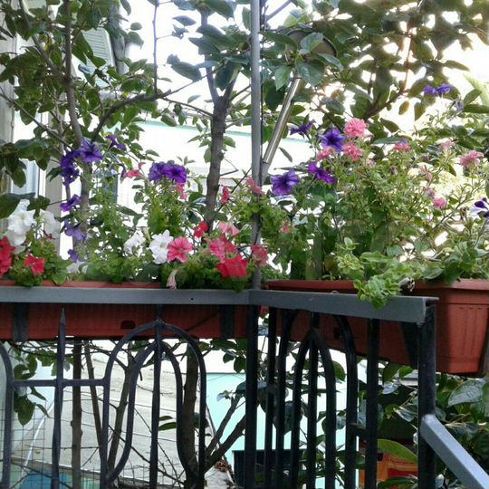 Комната 25 м² в 1-к., 1/3 эт.