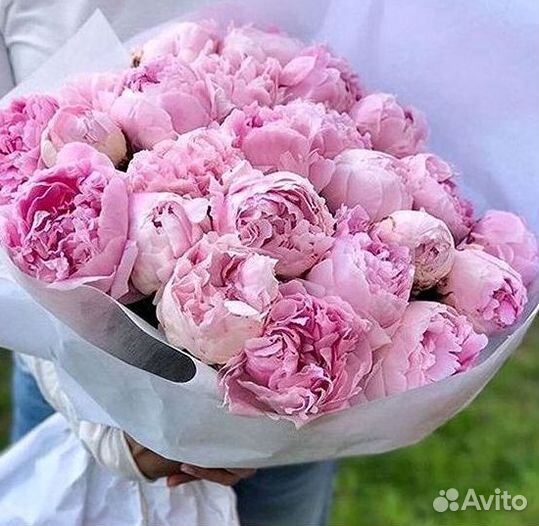 Пионы Букет пионов Доставка цветов