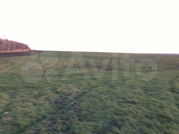 Участок 8 га (СНТ, ДНП)