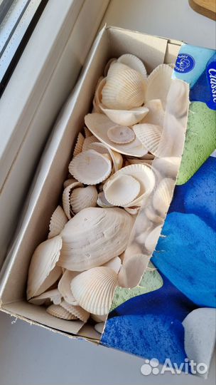 Флейта-дождик, камни-ракушки (грунт) для аквариума