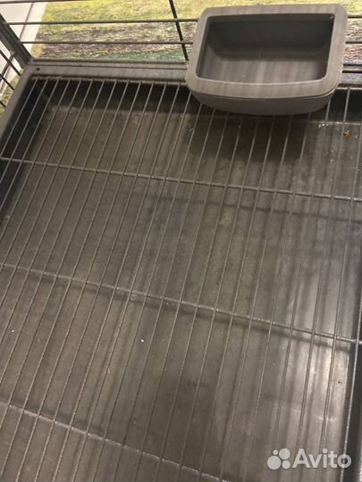 Клетки и переноска для грызунов