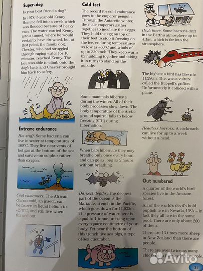 Книга на английском языке А4