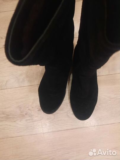 Сапоги женские зимние из натуральной замши