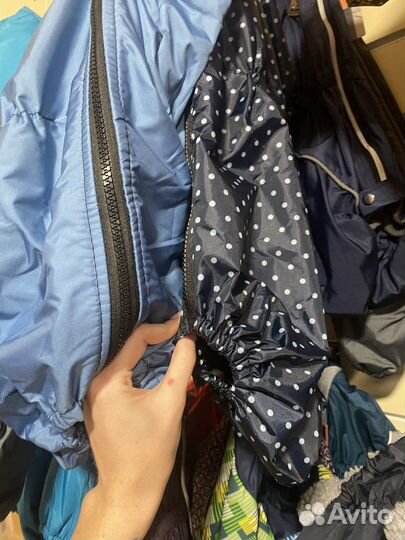 Одежда для собак (такса корги )