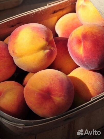 Духи Том форд персик кирки fleur molecules