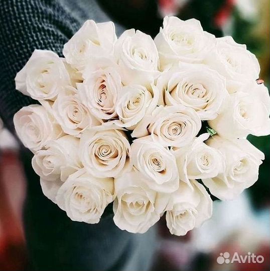 Розы высокие Доставка цветов