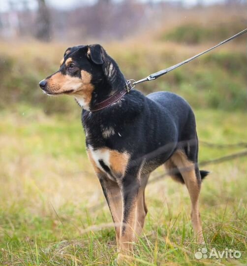 Гретта пережила предательство