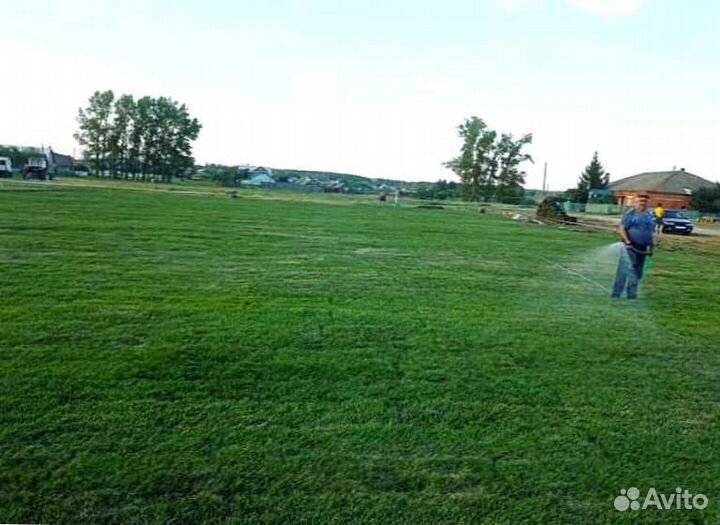 Газон. Рулонный газон