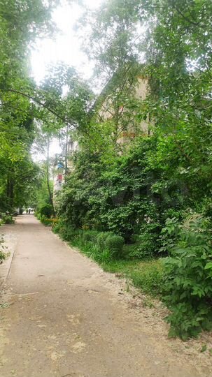 1-к. квартира, 31,5 м², 3/5 эт.