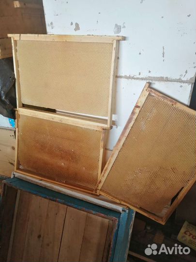 Рамки с сушью