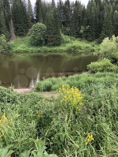 Участок 20 сот. (ИЖС)