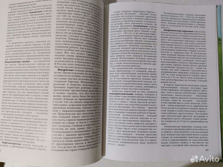 Энциклопедия 