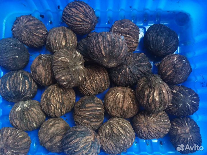 Черный дикий орех