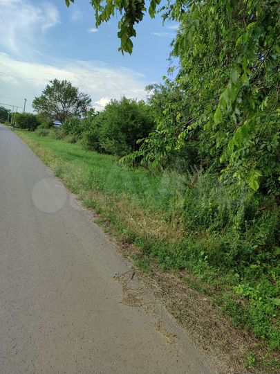 Участок 43 сот. (ИЖС)