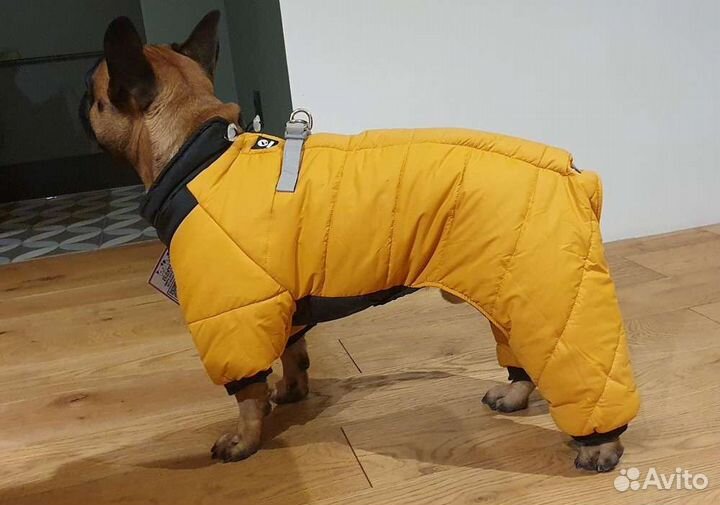Комбинезон новый для собак размер хл