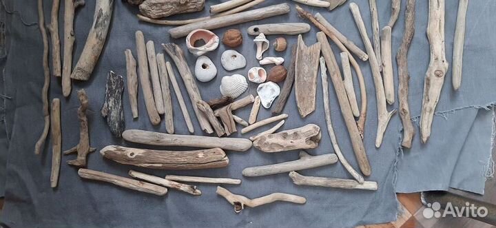 Дрифтвуд морской