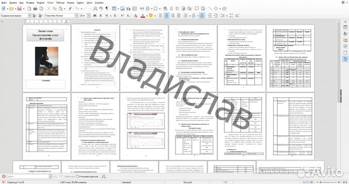 Бизнес-план