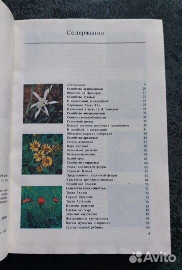 Артамонов В.И. Редкие и исчезающие растения, кн. 1