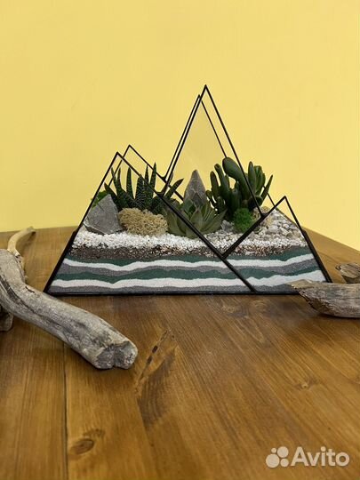 Флорариум Горы с суккулентами