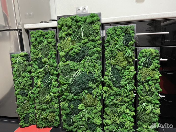 Фитопанно из стабилизированного мха
