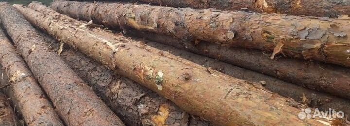 Лес для сруба