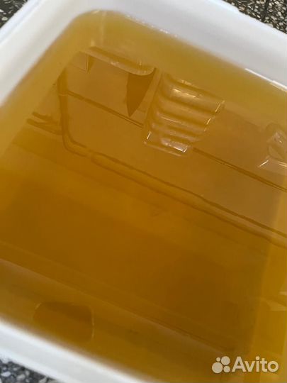 Продам мед оптом в кубах