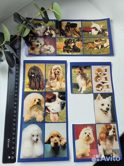 Наклейки собаки