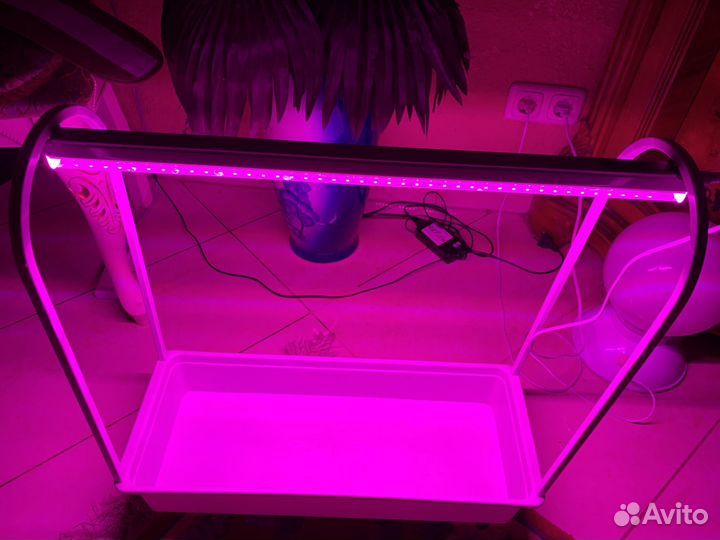 Станция для выращивания рассады