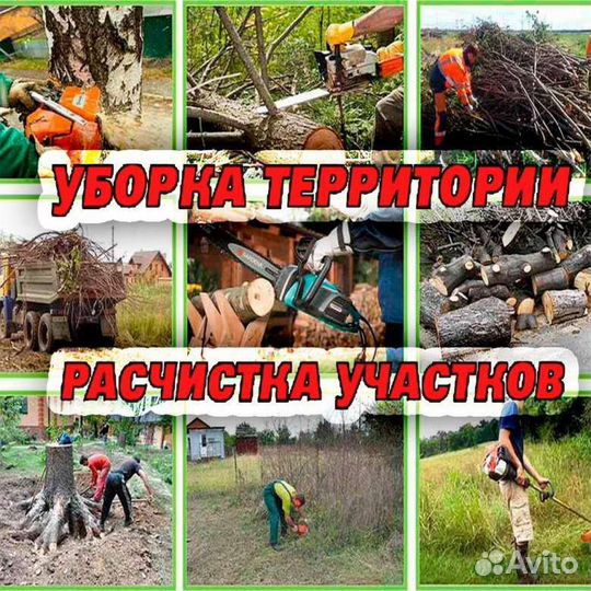 Спил деревьев