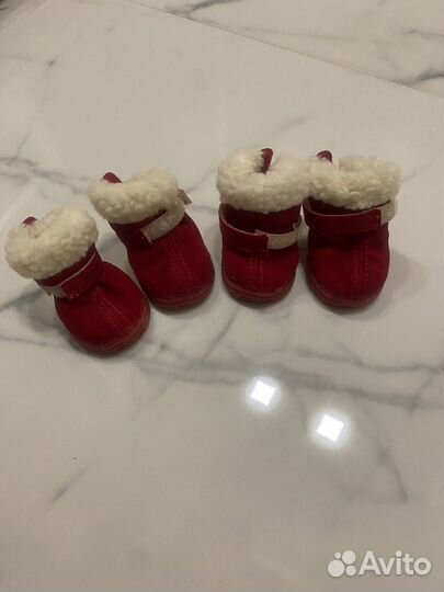 Ботинки для маленькой собачки