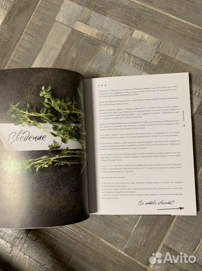 Секреты домашней ферментации. Юлия Мальцева