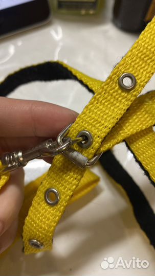 Шлейка для кошки