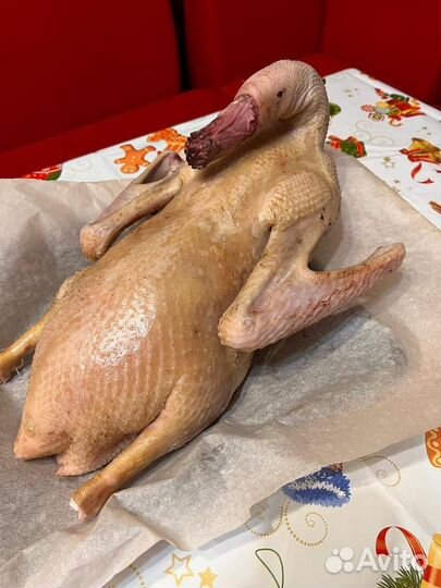 Мясо домашних гусей