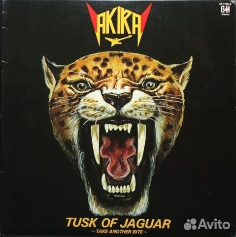Akira Takasaki / Tusk Of Jaguar (LP)