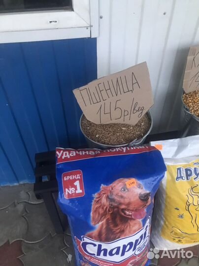Корма для животных