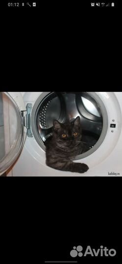 Ремонт бытовой и строительной электротехники