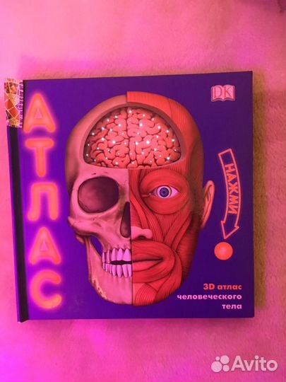 Интерактивный атлас