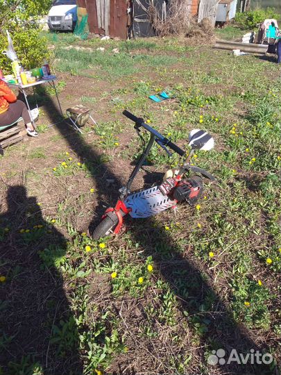 Бензиновый самокат