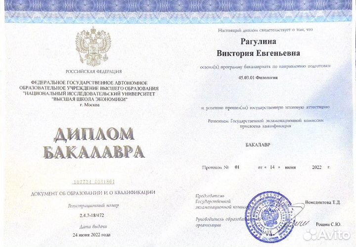 Переводчик, копирайтер и редактор (англ./нем.)