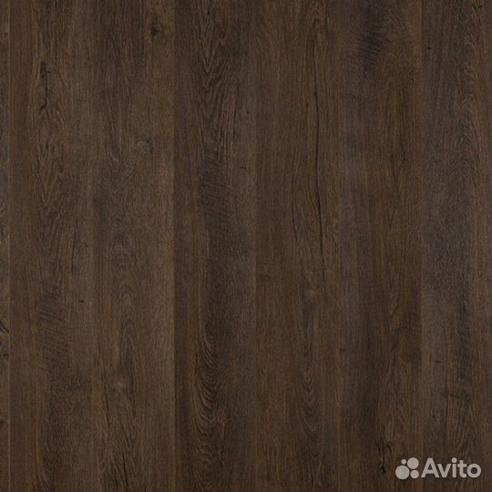 Odyssey 833 Дуб Милет 33 класс