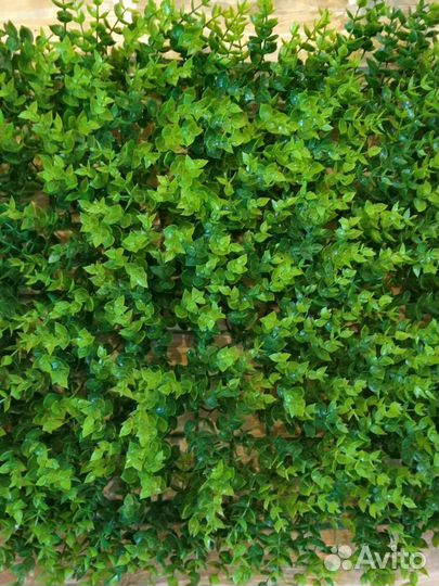 Экозелень из искусственных растений