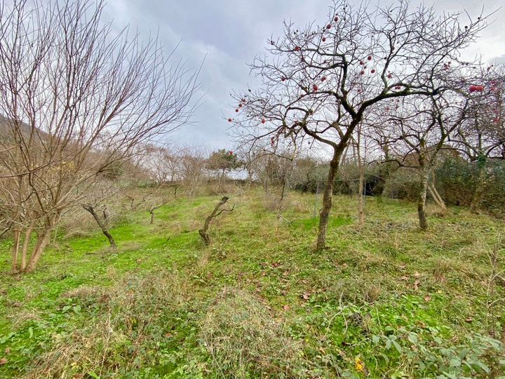 Участок 7 сот. (СНТ, ДНП)