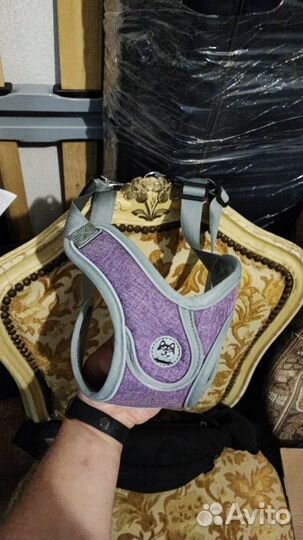 Поводок для собак